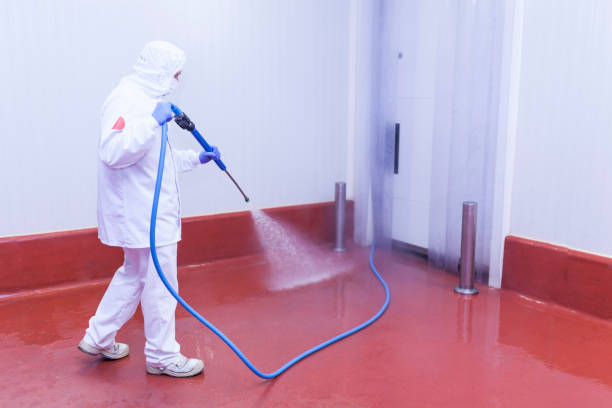 Pre-Holiday Cleaning in Newport East, RI